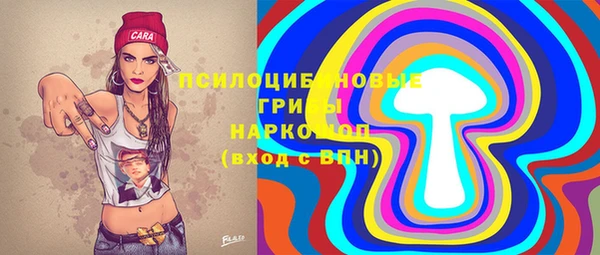 шишки Абаза