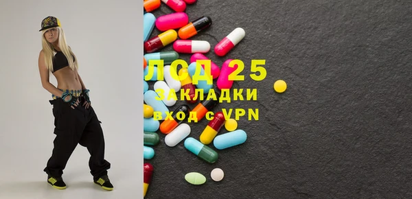 шишки Абаза