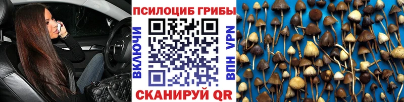 Галлюциногенные грибы мицелий  хочу   MEGA tor  Дубовка 