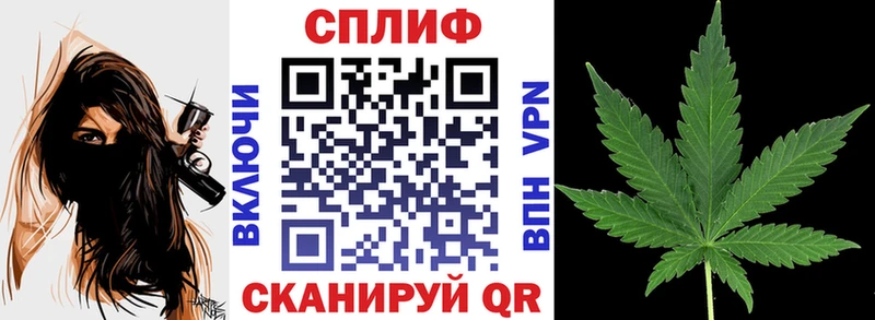 продажа наркотиков  ОМГ ОМГ онион  Бошки марихуана ГИДРОПОН  Дубовка 